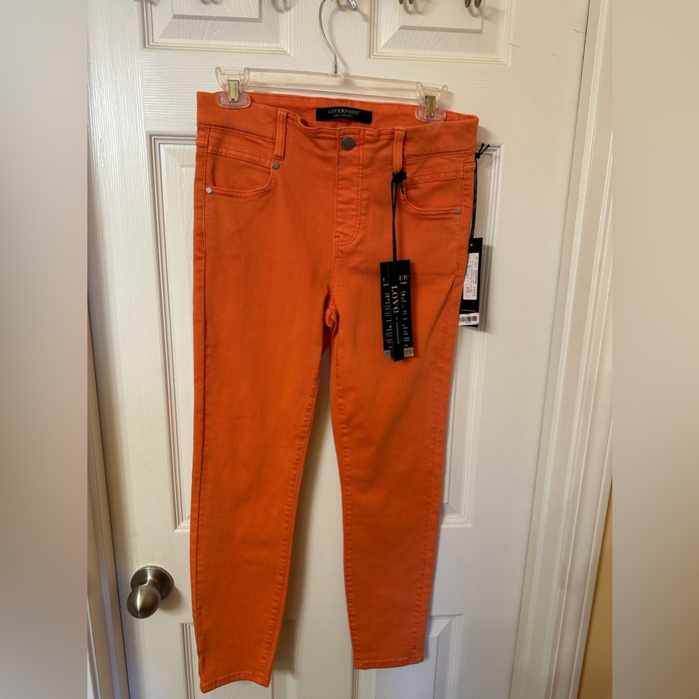 Liverpool Glider skinny stretch jean